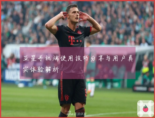 亚星手机端使用技巧分享与用户真实体验解析