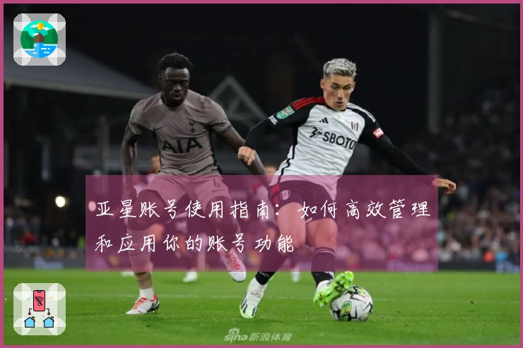 亚星账号使用指南：如何高效管理和应用你的账号功能